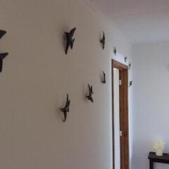 Отель Marina Lounge Hostel Португалия, Понта-Делгада - отзывы, цены и фото номеров - забронировать отель Marina Lounge Hostel онлайн комната для гостей фото 2