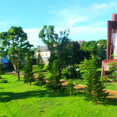 Отель Coffee Tour Resort фото 6