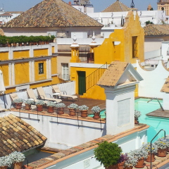 Отель Las Casas de la Juderia Sevilla Испания, Севилья - отзывы, цены и фото номеров - забронировать отель Las Casas de la Juderia Sevilla онлайн приотельная территория
