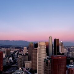 Отель Ritz Carlton Los Angeles Лос-Анджелес приотельная территория