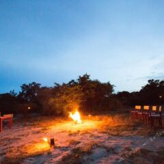 Отель Wild Trails Yala Tented Safari Camp фото 2