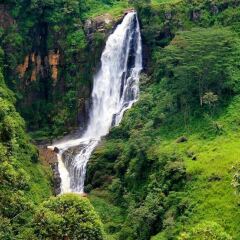 Отель Royal Cocoon - Nuwara Eliya фото 2