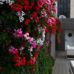 Eyal Hotel Израиль, Иерусалим - 2 отзыва об отеле, цены и фото номеров - забронировать отель Eyal Hotel онлайн фото 3