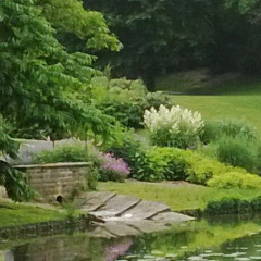 Отель am Schlosspark Германия, Эссен - отзывы, цены и фото номеров - забронировать отель am Schlosspark онлайн приотельная территория
