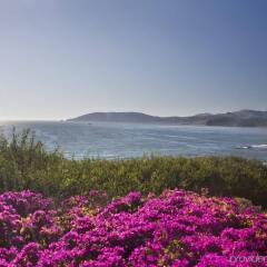 Отель Dolphin Bay Resort and Spa пляж фото 2