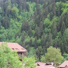 My Home Uzungol Турция, Узунгёль - отзывы, цены и фото номеров - забронировать отель My Home Uzungol онлайн
