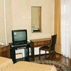 Viktoria Hotel удобства в номере