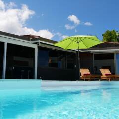 Отель Villa Riviera - Tahiti Французская Полинезия, Пунаауиа - отзывы, цены и фото номеров - забронировать отель Villa Riviera - Tahiti онлайн бассейн