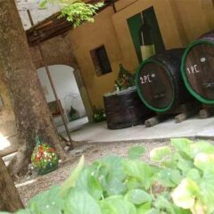 Отель B&B Casa Antica Mosaici Палаццоло-делло-Стелла фото 12