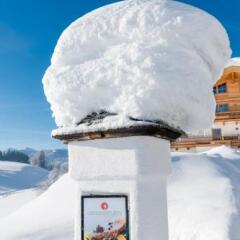 Отель Genusslandhotel Hochfilzer бассейн фото 2