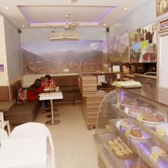 Hotel pink city гостиничный бар