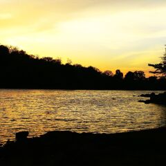 Отель Kodigahawewa Forest Resort