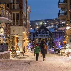 Отель Blue Mountain Resort фото 8