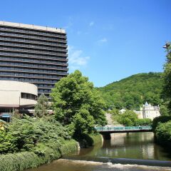 Spa Hotel Thermal Карловы Вары приотельная территория