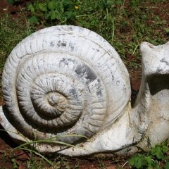 Отель Antica Villa La Viola Лечче фото 13