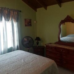 Island Guest House - B&B in Falmouth, Jamaica from 141$, photos, reviews - zenhotels.com room amenities photo 2