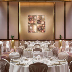 Отель Swissotel Al Ghurair Dubai Дубай помещение для мероприятий фото 2