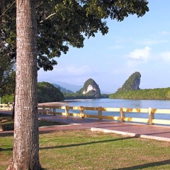 Отель Krabi Orchid Hometel Таиланд, Краби - отзывы, цены и фото номеров - забронировать отель Krabi Orchid Hometel онлайн фото 7