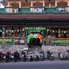 Отель Paddys Palms Resort развлечения