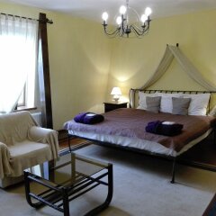 Отель Romantic Boutique Hotel & Spa Литва, Паневежис - 1 отзыв об отеле, цены и фото номеров - забронировать отель Romantic Boutique Hotel & Spa онлайн фото 9