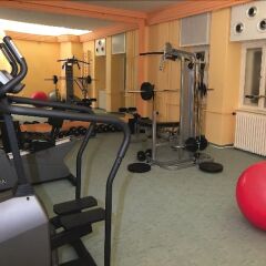 Отель Grand Hotel Aranybika Венгрия, Дебрецен - 8 отзывов об отеле, цены и фото номеров - забронировать отель Grand Hotel Aranybika онлайн фитнесс-зал фото 3