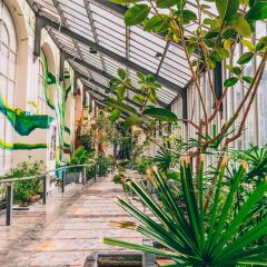 Отель The Captaincy Guesthouse Brussels Бельгия, Брюссель - отзывы, цены и фото номеров - забронировать отель The Captaincy Guesthouse Brussels онлайн фото 12
