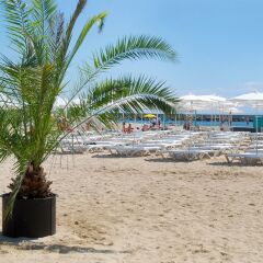 Lebed Hotel - All Inclusive пляж фото 4
