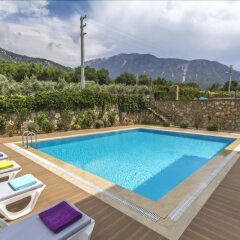 Villa Aktif by Villamnet Турция, Мугла - отзывы, цены и фото номеров - забронировать отель Villa Aktif by Villamnet онлайн бассейн