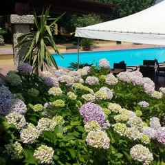Hotel Le Mimose