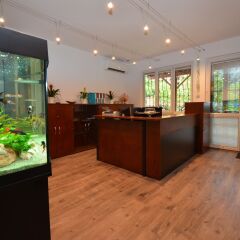 Отель Fig Tree House Budapest интерьер отеля