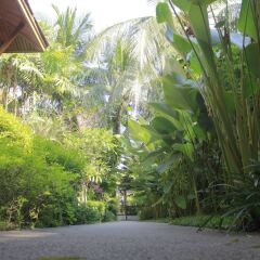 Отель Bangtao Village Resort Пхукет фото 6