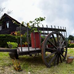 Отель Cabañas y Suites Sergia Torres детские мероприятия