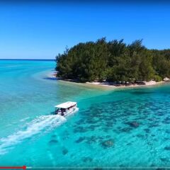 Отель Fare Club - Moorea Французская Полинезия, Муреа - отзывы, цены и фото номеров - забронировать отель Fare Club - Moorea онлайн приотельная территория фото 2
