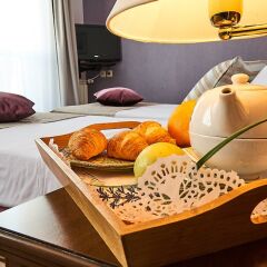Hotel Lion Sofia в номере фото 2