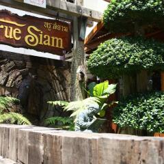 Отель True Siam Phayathai Hotel Таиланд, Бангкок - 1 отзыв об отеле, цены и фото номеров - забронировать отель True Siam Phayathai Hotel онлайн фото 3