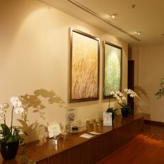 Отель Holiday Inn Shanghai Hongqiao West спа