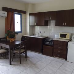 Апартаменты Kefalonitis Apartments в номере фото 2