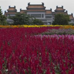 Sheraton Shunde Hotel фото 6