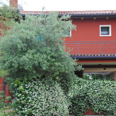 Отель Casa Rosso Veneziano Италия, Лимена - отзывы, цены и фото номеров - забронировать отель Casa Rosso Veneziano онлайн фото 10