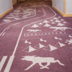 Отель Scandic Klarälven Швеция, Карлстад - отзывы, цены и фото номеров - забронировать отель Scandic Klarälven онлайн помещение для мероприятий фото 2