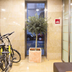 Отель Jardin Botanico Hotel Boutique Испания, Валенсия - отзывы, цены и фото номеров - забронировать отель Jardin Botanico Hotel Boutique онлайн спа фото 2