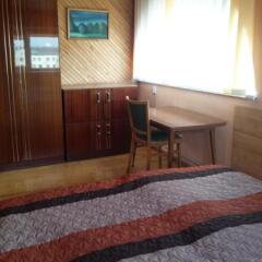 Отель Solena Hotel Литва, Бирштонас - отзывы, цены и фото номеров - забронировать отель Solena Hotel онлайн фото 2