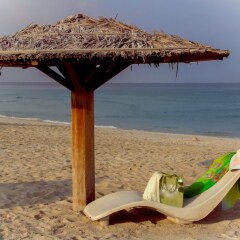 Отель Golden Beach Motel ОАЭ, Шарджа - 1 отзыв об отеле, цены и фото номеров - забронировать отель Golden Beach Motel онлайн пляж фото 2