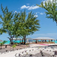 Paradise Beach - Lovers Hideaway in South Andros, Bahamas from 179$, photos, reviews - zenhotels.com beach photo 2