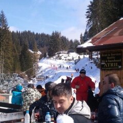 Отель Kris Hotel Болгария, Чепеларе - отзывы, цены и фото номеров - забронировать отель Kris Hotel онлайн фото 2