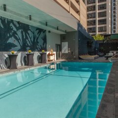 Kimpton Hotel Palomar Los Angeles Beverly Hills бассейн фото 3