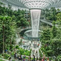 Отель Crowne Plaza Changi Airport Сингапур фото 9
