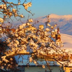 Отель Family Hotel Santo Bansko Болгария, Банско - отзывы, цены и фото номеров - забронировать отель Family Hotel Santo Bansko онлайн фото 5