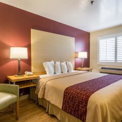 Отель Red Roof Inn Tulare - Downtown/Fairgrounds комната для гостей фото 3