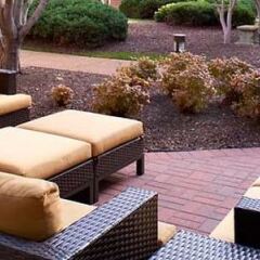 Отель Courtyard by Marriott St. Louis Downtown West фото 3